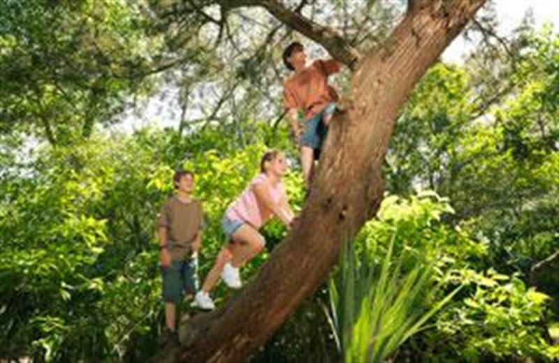 Image for Things To Do Take a Hike